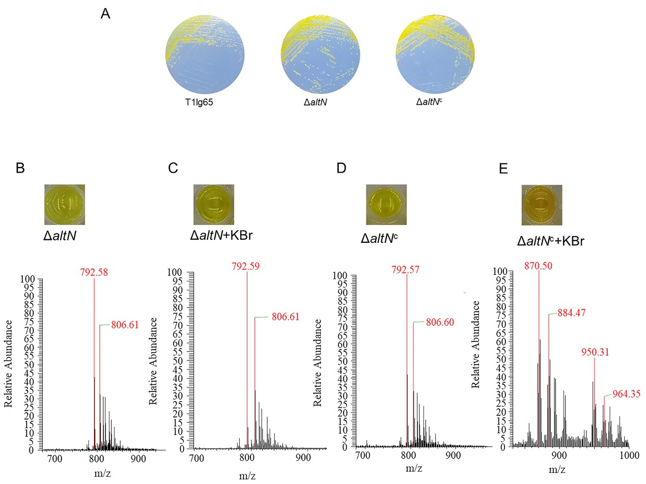 1714978747862070166.jpg yu4.jpg