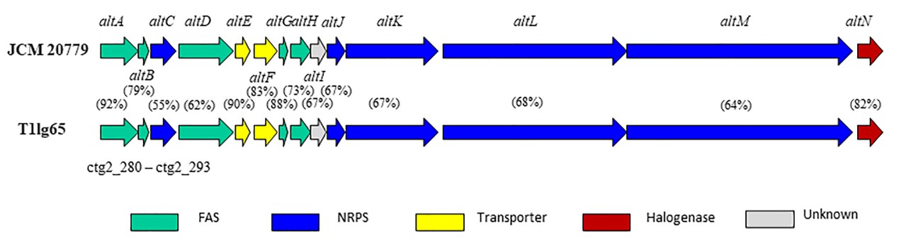 1714978497221053470.jpg yu1.jpg