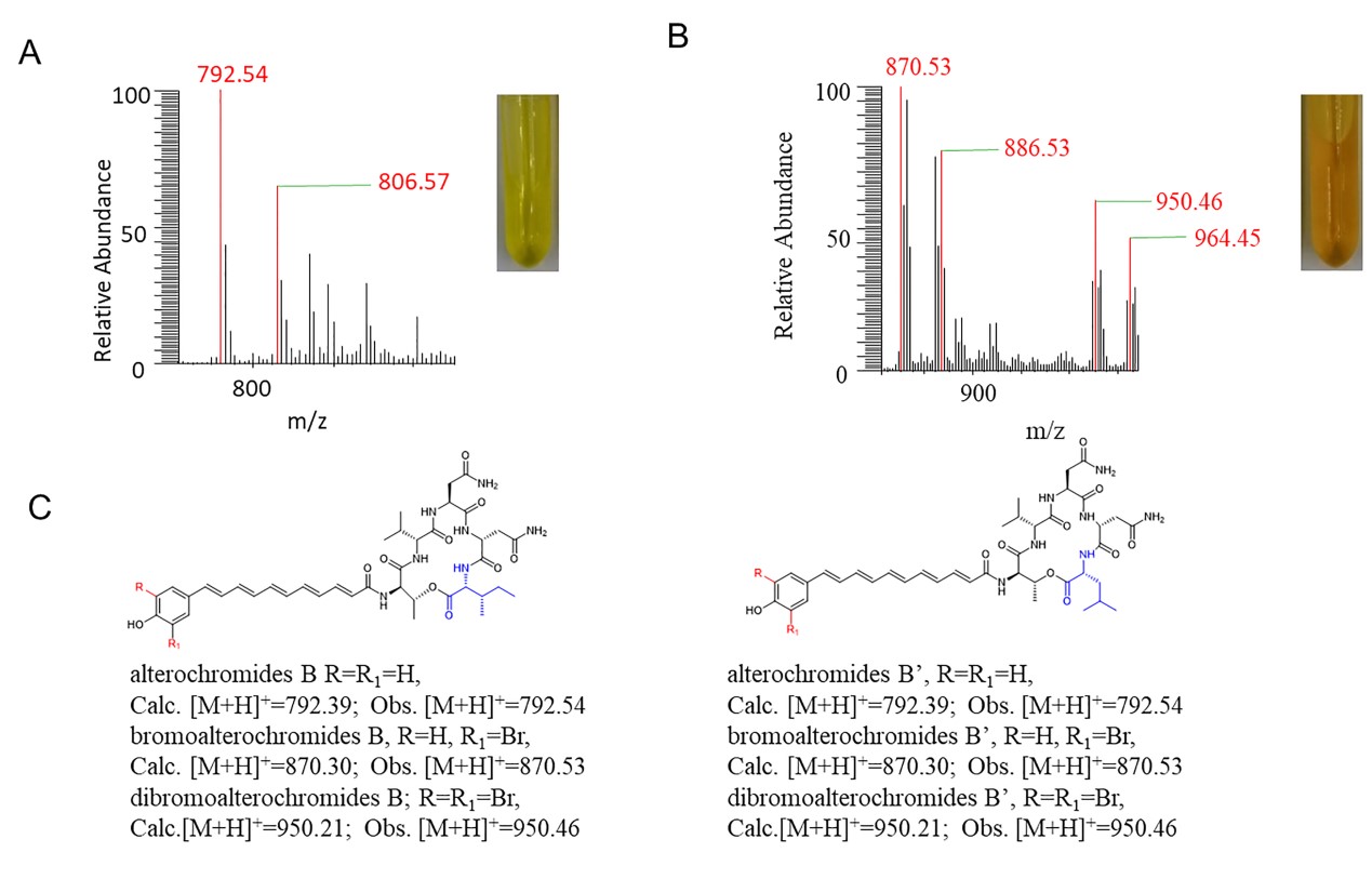 1714978654893003167.jpg yu3.jpg