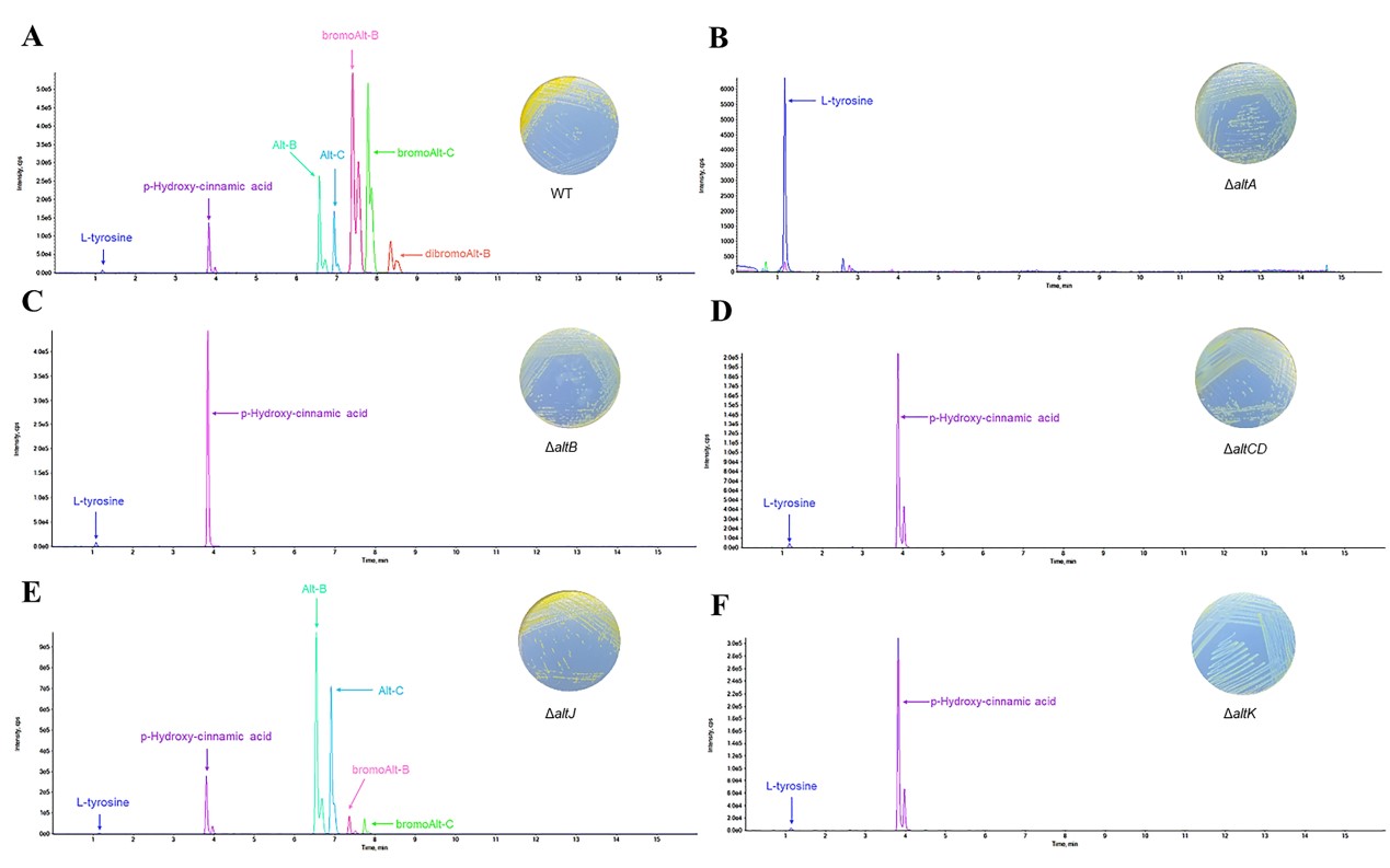 1714978580674072478.jpg yu2.jpg