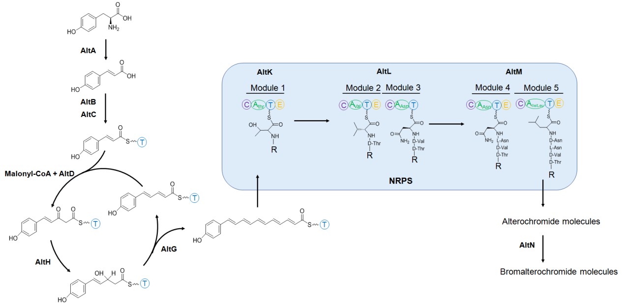 1714978905799069972.jpg yu6.jpg